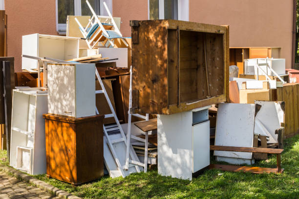 Best Shed Removal  in Safety Harbor, FL